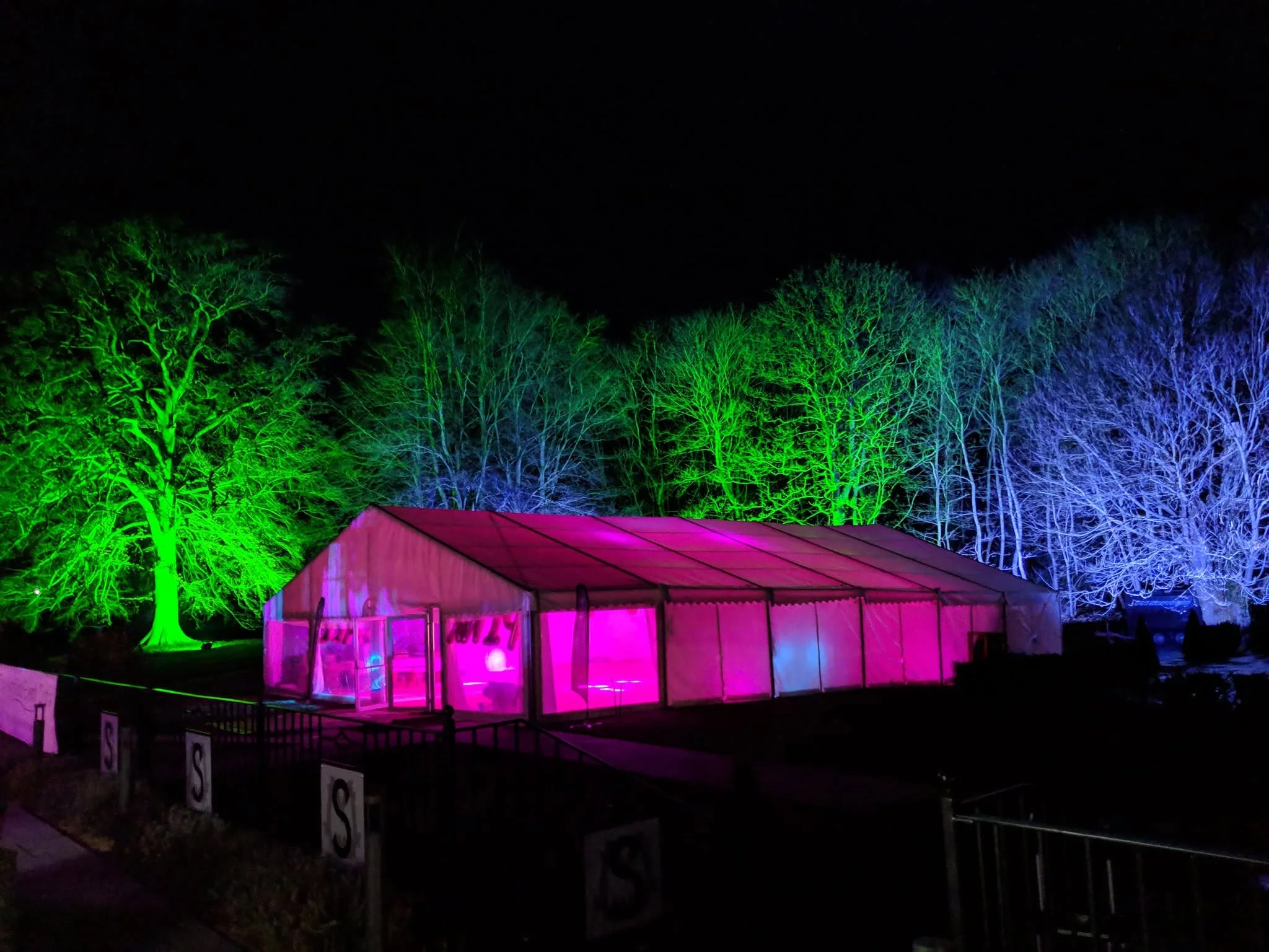 Event marquee and surrounding trees illuminated in vivid colour
